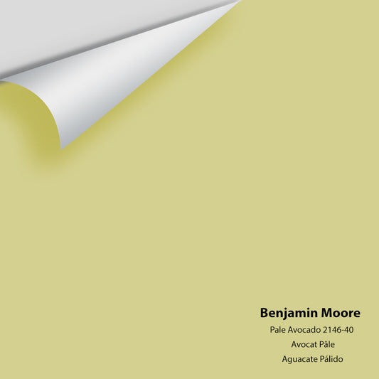 Big Paint Chip - Pale Avocado 2146-40