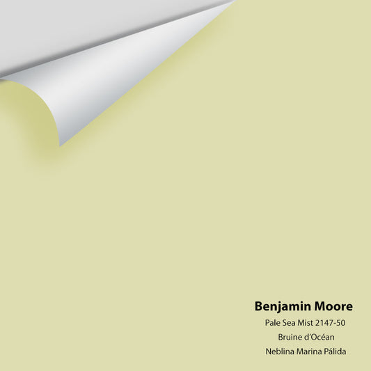 Big Paint Chip - Pale Sea Mist 2147-50
