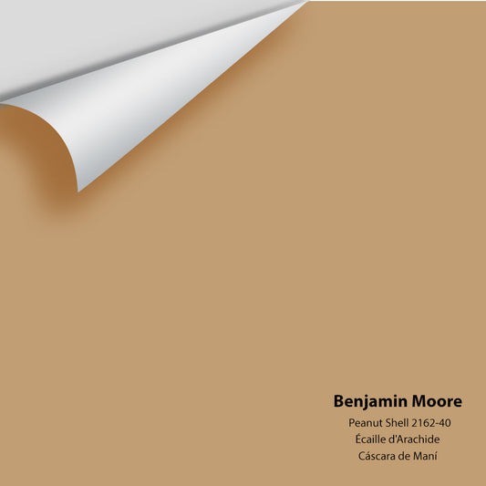 Big Paint Chip - Peanut Shell 2162-40