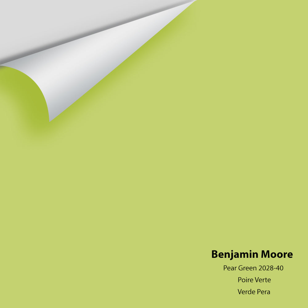 Big Paint Chip - Pear Green 2028-40