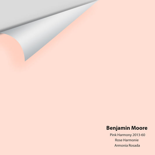 Big Paint Chip - Pink Harmony 2013-60