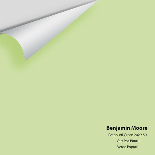 Benjamin Moore - Potpourri Green 2029-50 Colour Sample