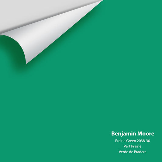Big Paint Chip - Prairie Green 2038-30