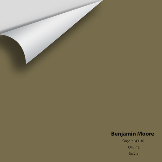 Big Paint Chip - Sage 2143-10