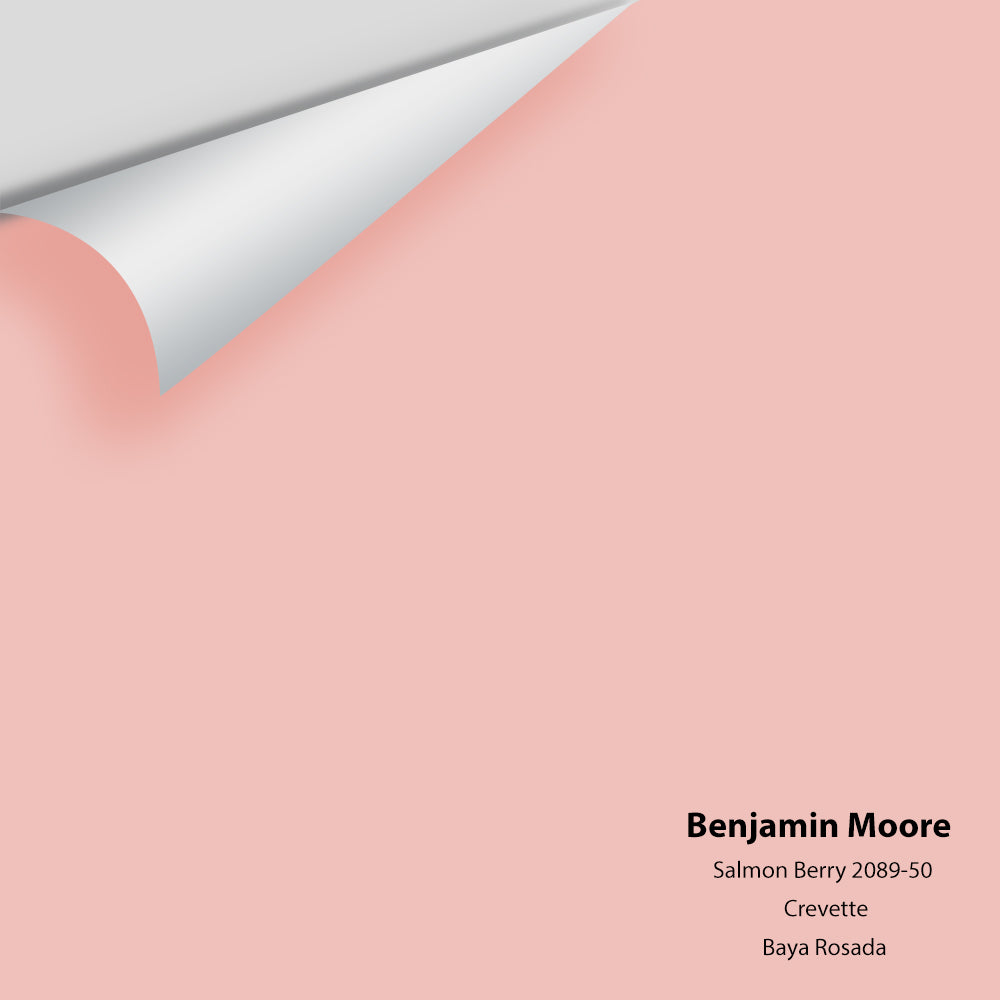 Big Paint Chip - Salmon Berry 2089-50