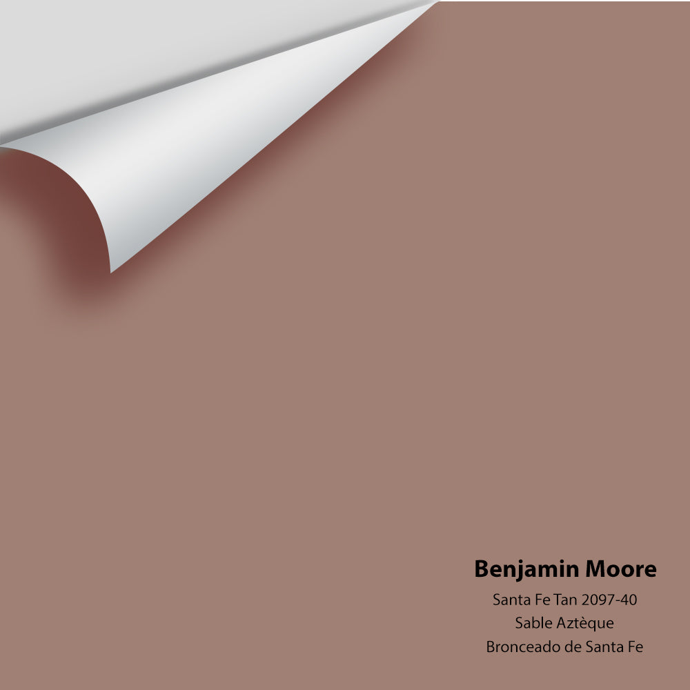 Big Paint Chip - Santa Fe Tan 2097-40