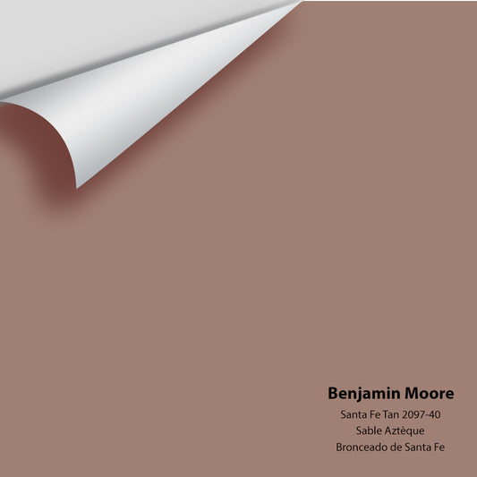Big Paint Chip - Santa Fe Tan 2097-40