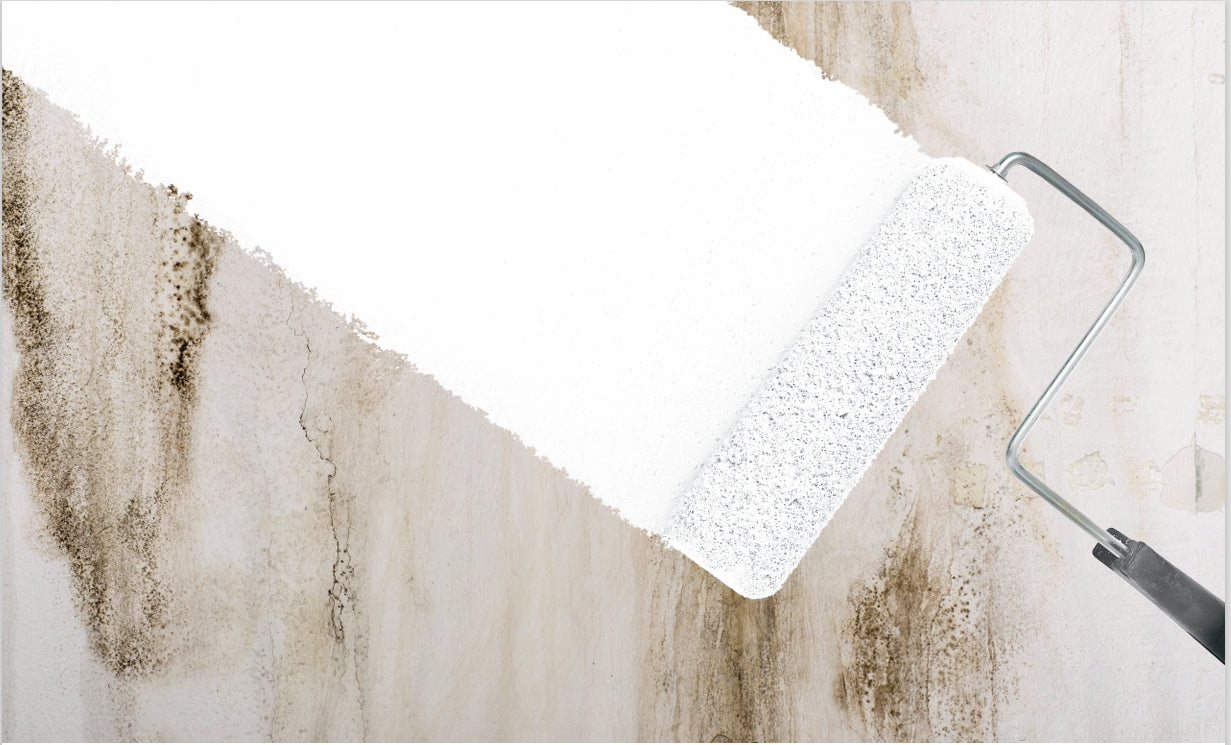 Prime Lock Plus PS-8100