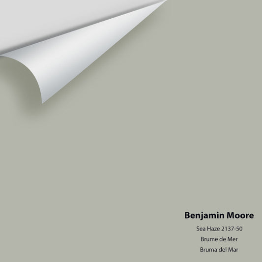 Benjamin Moore - Sea Haze 2137-50 Colour Sample