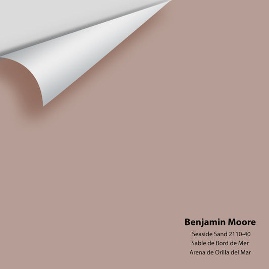 Big Paint Chip - Seaside Sand 2110-40