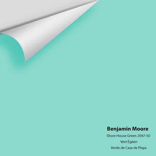 Big Paint Chip - Shore House Green 2047-50