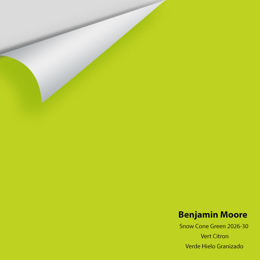 Big Paint Chip - Snow Cone Green 2026-30