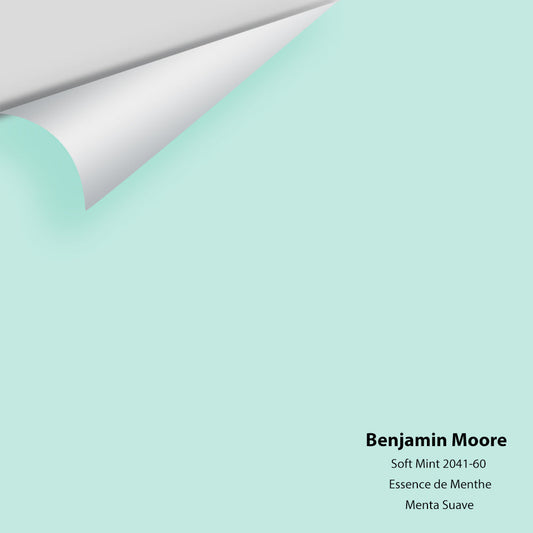 Big Paint Chip - Soft Mint 2041-60