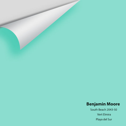 Big Paint Chip - South Beach 2043-50