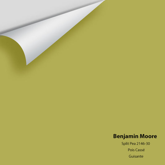 Big Paint Chip - Split Pea 2146-30