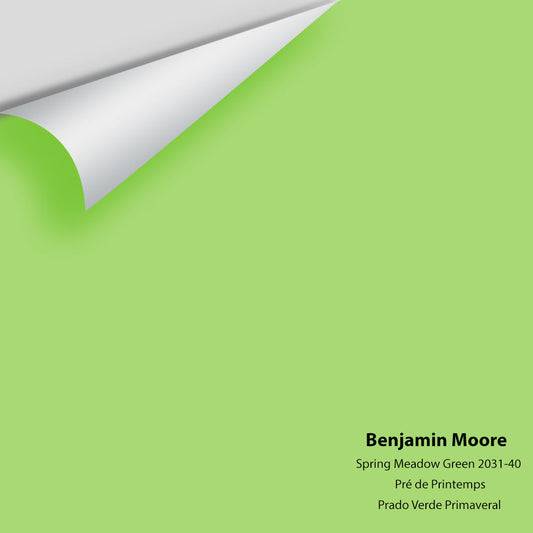 Big Paint Chip - Spring Meadow Green 2031-40