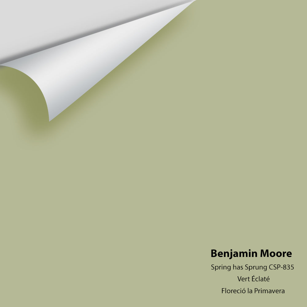 Benjamin Moore - Spring has Sprung CSP-835 Colour Sample