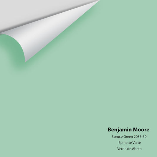 Big Paint Chip - Spruce Green 2035-50