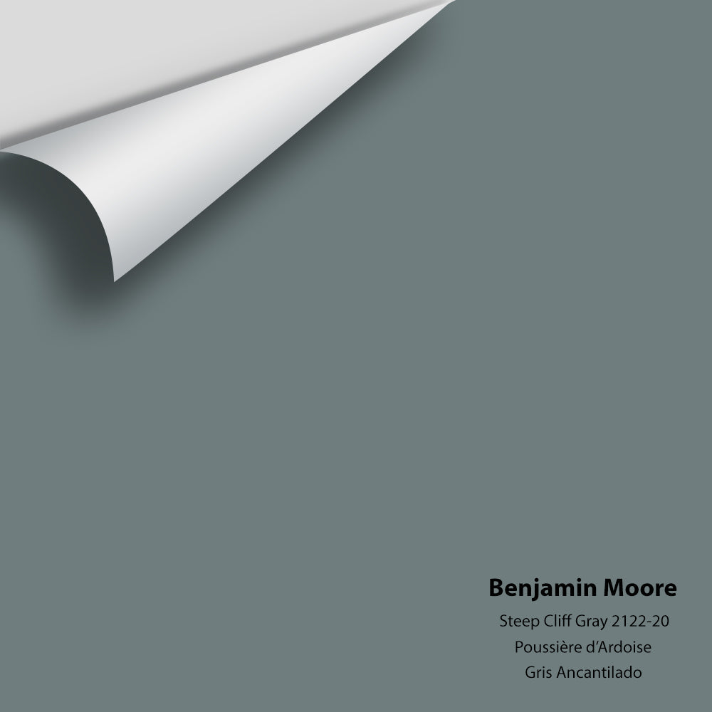 Benjamin Moore - Steep Cliff Gray 2122-20 Colour Sample