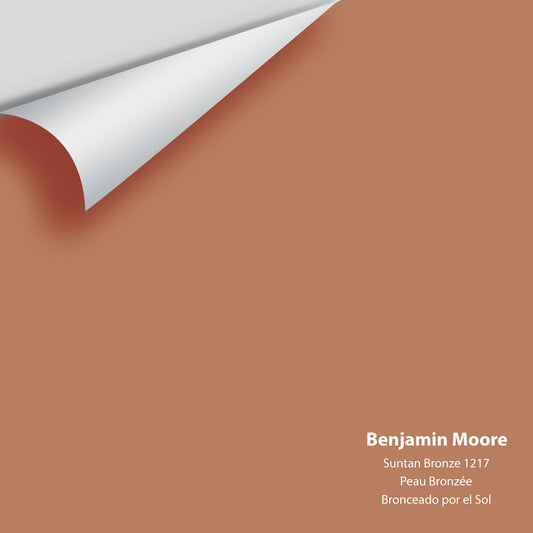 Big Paint Chip - Suntan Bronze 1217