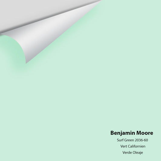 Big Paint Chip - Surf Green 2036-60