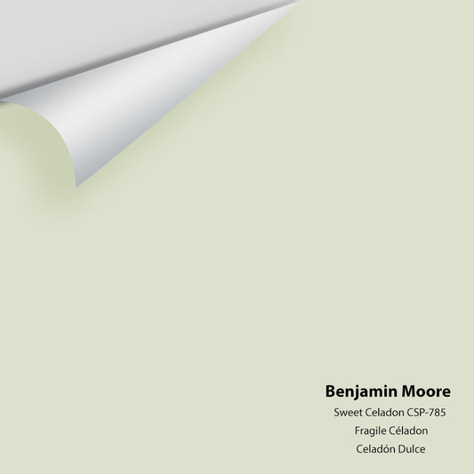 Big Paint Chip - Sweet Celadon CSP-785