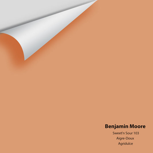 Benjamin Moore - Sweet 'n Sour 103 Colour Sample