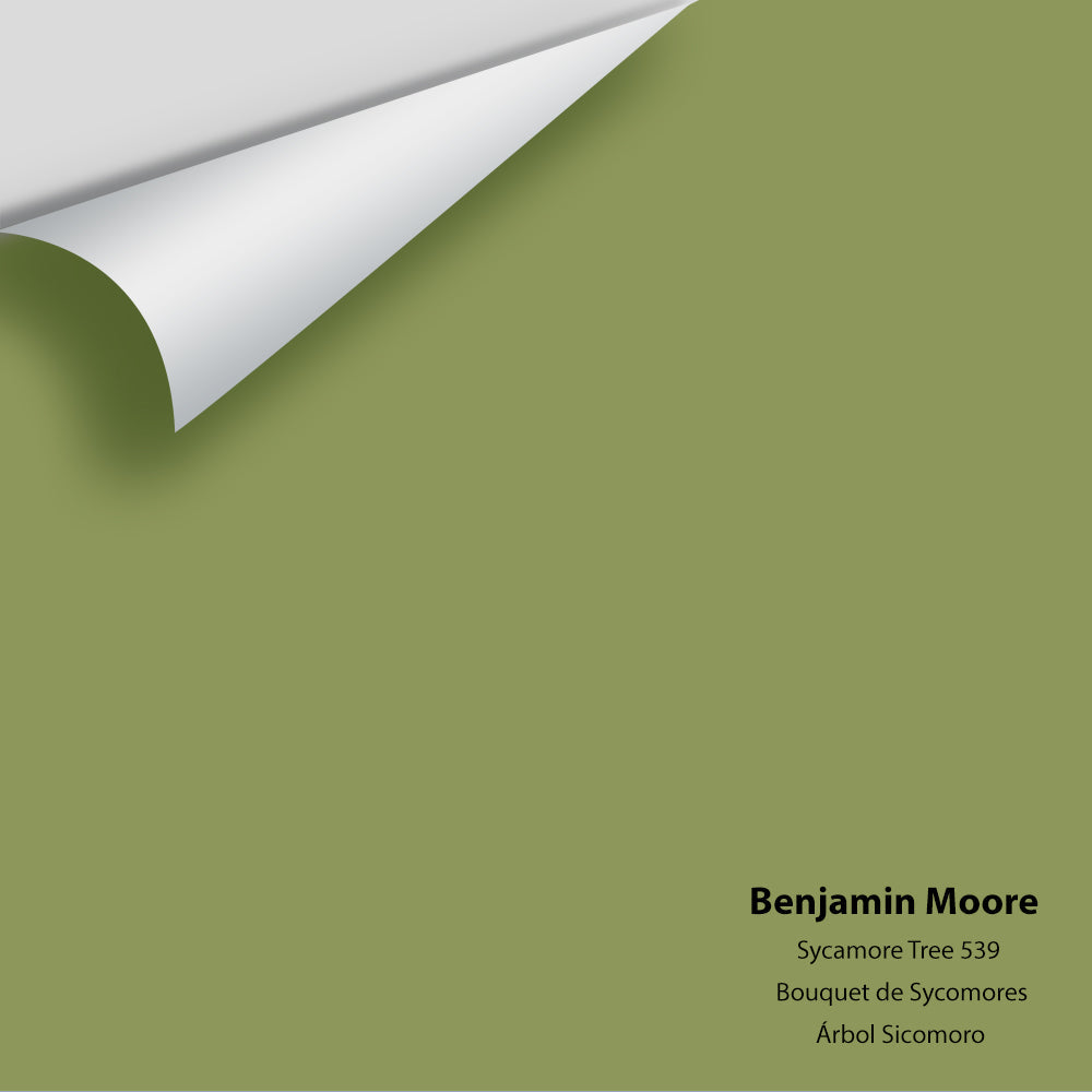 Big Paint Chip - Sycamore Tree 539
