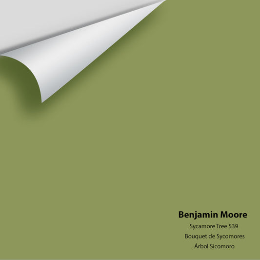 Big Paint Chip - Sycamore Tree 539