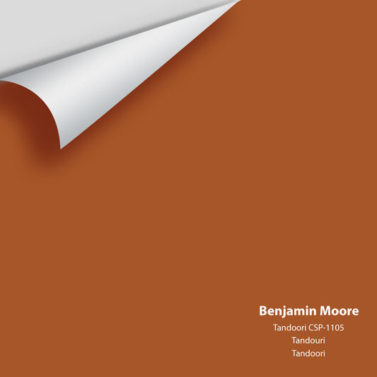 Big Paint Chip - Tandoori CSP-1105