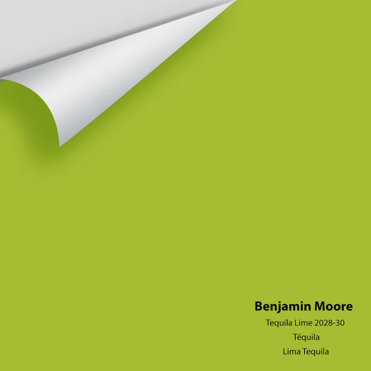 Big Paint Chip - Tequila Lime 2028-30