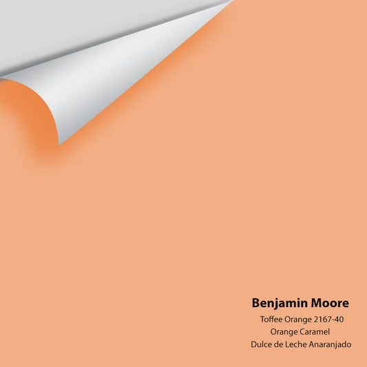 Big Paint Chip - Toffee Orange 2167-40