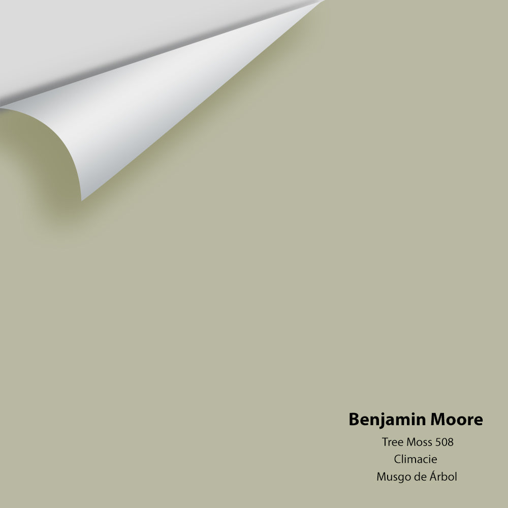 Benjamin Moore - Tree Moss 508 Colour Sample