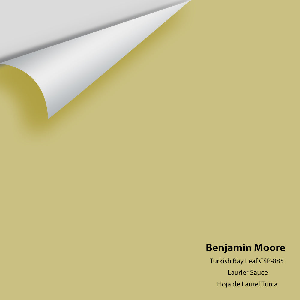 Benjamin Moore - Turkish Bay Leaf CSP-885 Colour Sample