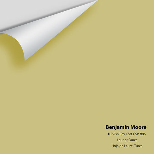 Benjamin Moore - Turkish Bay Leaf CSP-885 Colour Sample