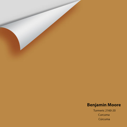 Big Paint Chip - Turmeric 2160-20