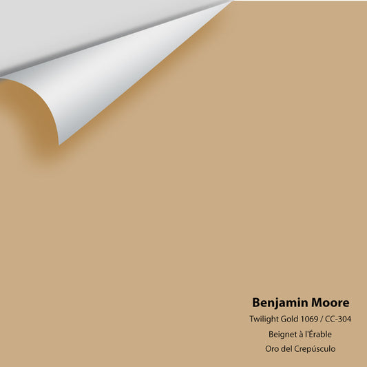 Big Paint Chip - Twilight Gold 1069