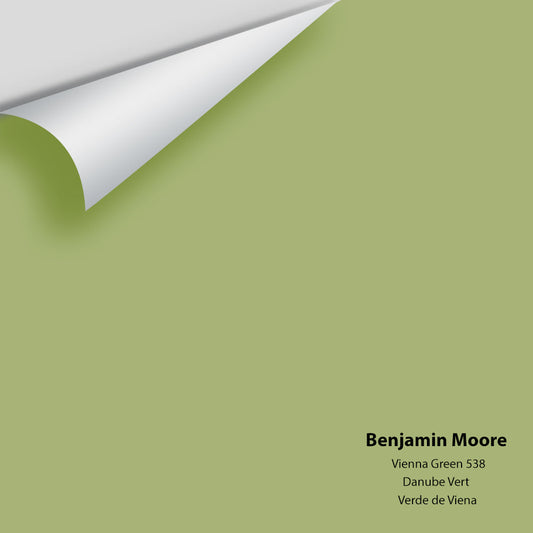 Big Paint Chip - Vienna Green 538