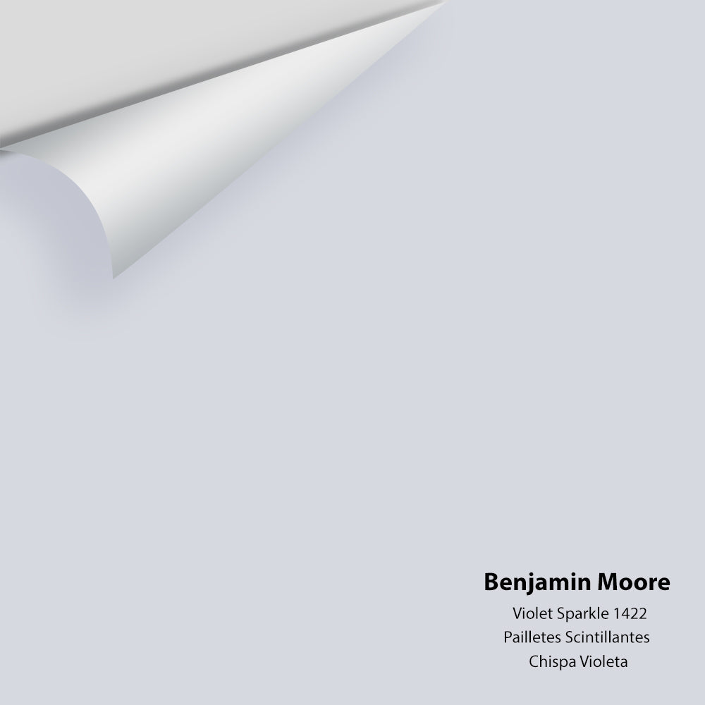 Benjamin Moore - Violet Sparkle 1422 Colour Sample