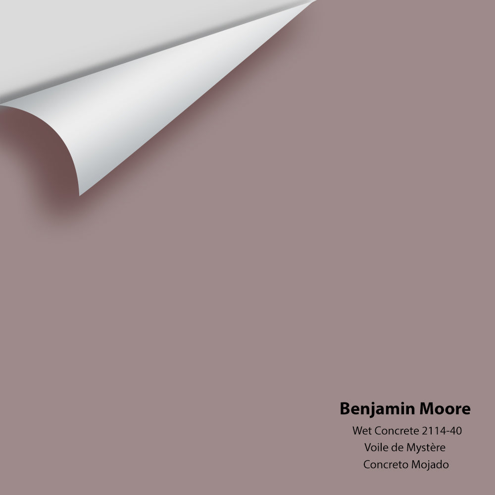 Benjamin Moore - Wet Concrete 2114-40 Colour Sample