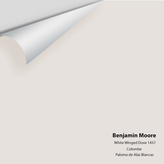 Benjamin Moore - White Winged Dove 1457 Colour Sample
