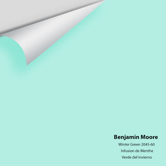 Big Paint Chip - Winter Green 2045-60