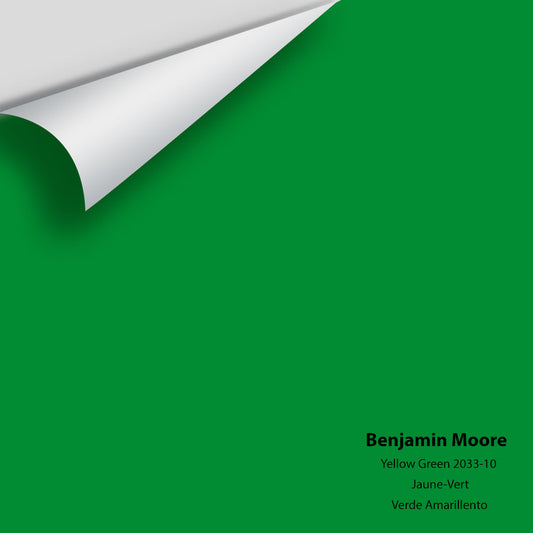 Big Paint Chip - Yellow Green 2033-10