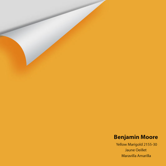 Big Paint Chip - Yellow Marigold 2155-30